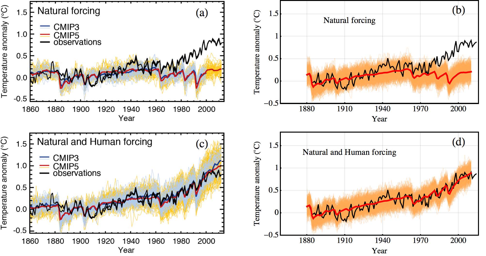De svarte kurvene er observert global middeltemperatur.